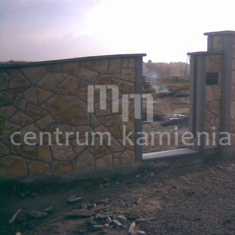 20071031004.jpg