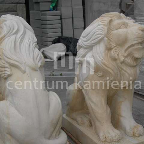 pict0071-copy.JPG