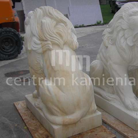 pict0074-copy.JPG
