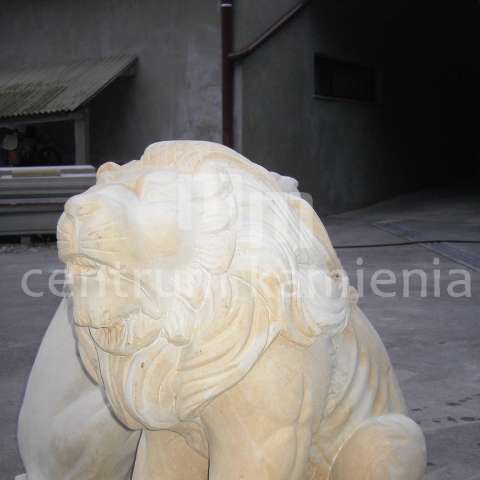 pict0075-copy.JPG